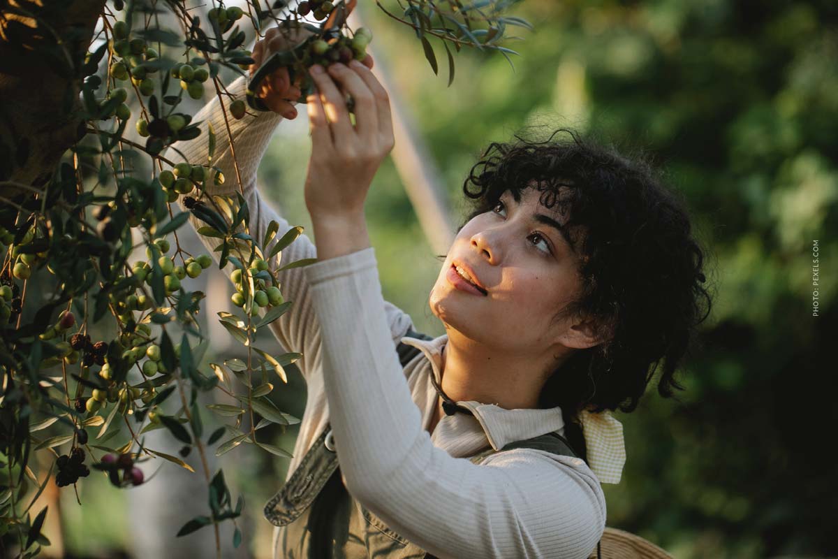 cm-models-modelagency-plant-trees-treedom-coffee-tree-saves-income